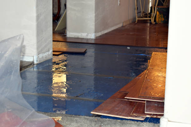 Professional Basement Flood Cleanup technician working in Liberty, NC